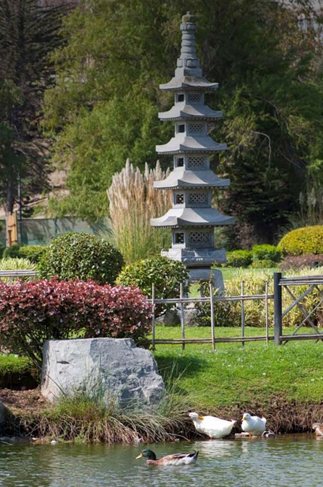 Jardín japonés de La Serena con estanque y aves