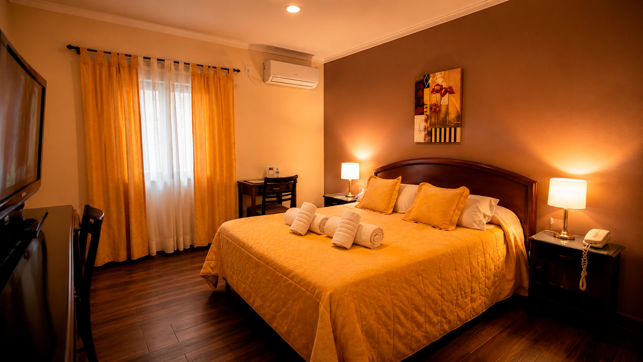 Habitación del Hotel Hernandarias con cama de dos plazas, cobertor dorado y TV