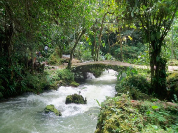 Puente sobre un río en un tour hacia Moyobamba, cerca de Tarapoto
