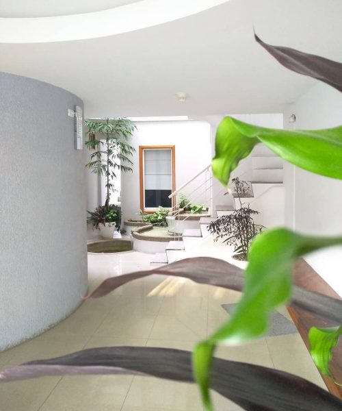 Pasillo interior de Posada Tramontana con jardín, escalera y plantas ornamentales