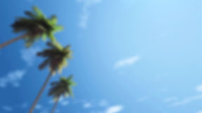 Cielo azul y palmeras de la costa ecuatoriana